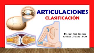 🥇 ARTICULACIONES Clasificación Fácil Rápida y Sencilla [upl. by Enomar]