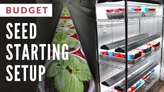 BUDGET Indoor Seed Starting Setup THAT WORKS [upl. by Blas]