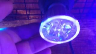 5 Led E27 UVampWhiteampBlue Coral Reef Grow Light Fish Tank Aquarium Bulb PAR30 C [upl. by Valentina571]