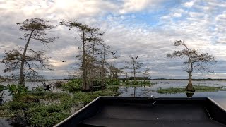 FLORIDA EVERGLADES 4K UHDPT 1 [upl. by Aikemit]