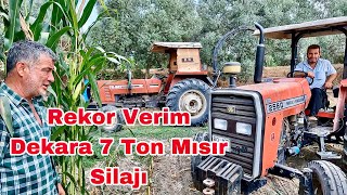 İlk Defa Böylesini Biçtik  Dekara 7 Ton Mısır Silajı Biçimi [upl. by Narual563]