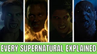 Every Supernatural Species In TEEN WOLF Explained  A Definitive Guide [upl. by Graces408]