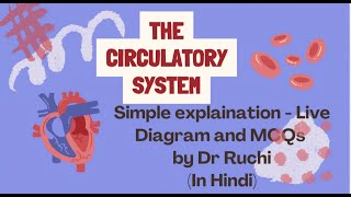 Circulatory System  Heart with diagram in Hindi [upl. by Birkett583]