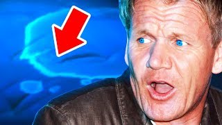 Top 10 Gordon Ramsay Memorable Moments on Hotel Hell [upl. by Omoj]