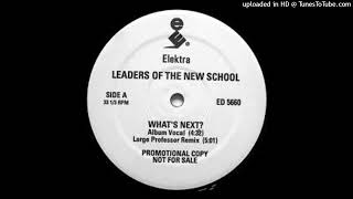 Leaders Of The New School  Whats Next Large Professor Remix [upl. by Zerelda27]