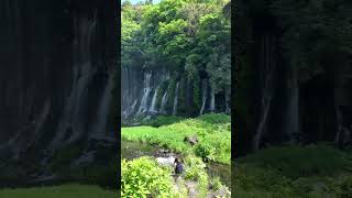 Cataratas de Shiraito vidanojapão japanlife japantravel japão fujinomiya brasileirosnojapao [upl. by Carling839]