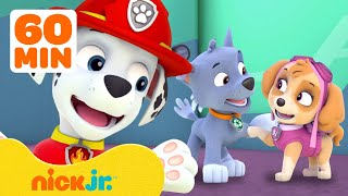 PAW Patrol Friendship Adventures amp Rescues w Marshall and Skye  1 Hour Compilation  Nick Jr [upl. by Nunci]