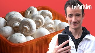 Pourquoi les champignons de Paris viennentils de Pologne [upl. by Miner]