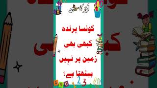 Gk short quiz زمین پر نہ بیٹھنے والا پرندہ gk shorts quiz [upl. by Oisangi]