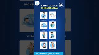 🌿 Stay Informed Symptoms of Chikungunya 🌿 [upl. by Nylear]