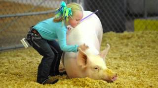 Pig Show at the Georgia Carolina State Fair [upl. by Gabe]