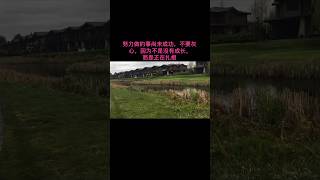 Tsawwassen Springs  好消息 高尔夫⚽️场 住家公园 [upl. by Aneertak]