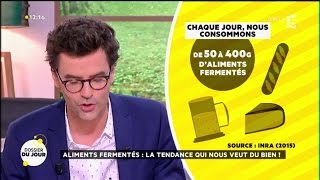 Dossier du Jour  Aliments fermentés  la tendance qui nous veut du bien [upl. by Silado]