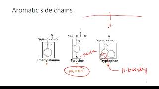 Determining Protonation State of Amino Acids [upl. by Nuhsal]