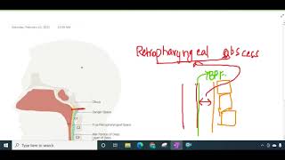 retropharyngeal space and abscess  ENT [upl. by Ahseined]