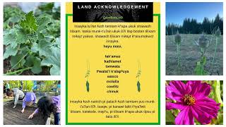 Land Acknowledgement video Chinuk 2024 [upl. by Ridley]