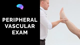 Peripheral Vascular Examination  OSCE Guide Latest  UKMLA  CPSA [upl. by Deyes]