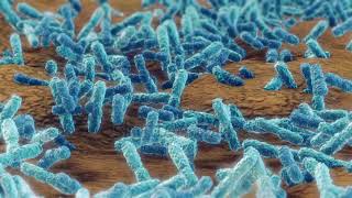 stock footage pseudomonas aeruginosa bacteria klebsiella medical concept [upl. by Juback]