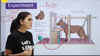 Pavlovs Classical Conditioning Theoryबाल विकास।। Explained by himanshi singh [upl. by Sumner]