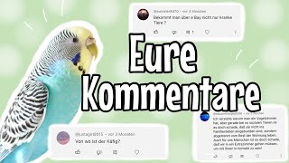 Wozu ein VOGELZIMMER🤔 Mein Käfig amp Discord🫶🏻 Eure Kommentare  Die Vogelfamilie [upl. by Holtorf]