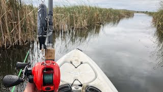 INSANE Topwater Pike Fishing Skinny Water [upl. by Eniamert]