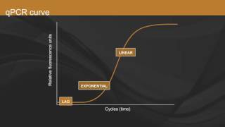 Overview of qPCR [upl. by Seidel]