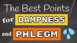 Best Acupuncture Points for Dampness amp Phlegm [upl. by Townsend]