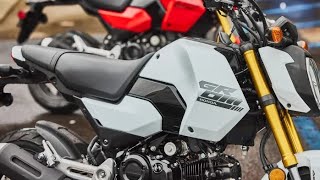 New 2025 Honda Grom Updated Styling and Accessories [upl. by Alberto627]