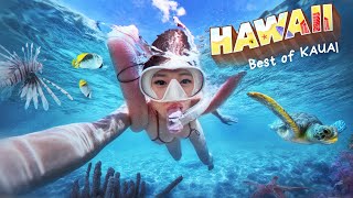 KAUAI HAWAII ISLAND life helicopter tour🚁 snorkelling🐢 HIDDEN beaches what I eat and more✨ [upl. by Anialem]