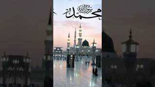 Naat Shareef madinasharifkividioislamicvideoyputubeshorts [upl. by Keryt]