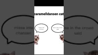 Misheard lyrics caramelldansen [upl. by Enilarac]