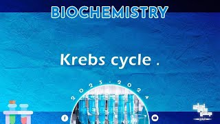 L12 CHO metabolism 3 Oxidative decarboxylation of pyruvic acid and Krebs cycle Biochemistry [upl. by Iadam617]