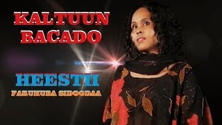 KALTUUN BACADO  FARUHUBA SIDOODA  OFFICIAL VIDEO [upl. by Nosreh900]