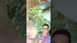 Stunning PORE STRIP REMOVAL  Blackhead Removal shorts [upl. by Aihsenak]