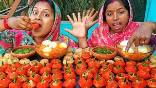 spicy green chilli fuchka spicy Maggi boiled egg challenging video with punishment 🥵 [upl. by Llerrit193]