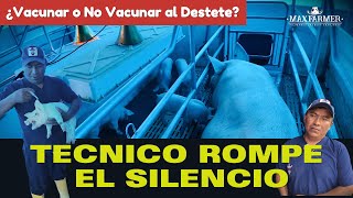 ¿Vacunar o No Vacunar al Destete El Técnico Rompe el Silencio [upl. by Tildi]