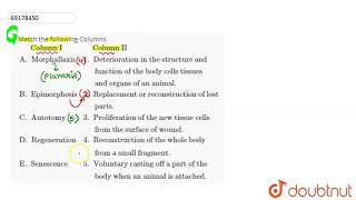 Match the following Columns quot Column Iquotquot Column IIquotquotA Morphallaxisquotquot1 [upl. by Carr121]