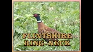 Flintshire Farms Early Sales Video  Late 1980s [upl. by Ambrose]