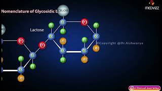 Derivatives Of Monosaccharides [upl. by Eonak450]