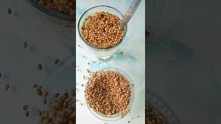 Health Benefits of Coriander Water Digestion CorianderLeaves DigestiveHealth drmanthena shorts [upl. by Mahla]