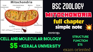 BSC ZOOLOGYMITOCHONDRIAS5cell and molecular biologychapter explanationkerala universityമലയാളം [upl. by Vanessa]