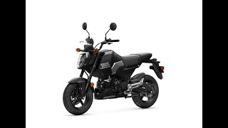 Honda MSX Grom 2025 [upl. by Aneev]