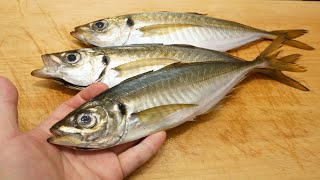 アジのさばき方と昆布締めの作り方 How to horse mackerel kombujime [upl. by Kcirdlek]