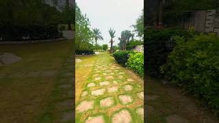 9 Kanal Beautifull Farm House with Swimming Pool Bedian Road Lahore farmhouse farm beautifull fy [upl. by Ardnajela]