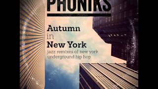 Mos Def  Travellin Man Phoniks Remix [upl. by Burhans]