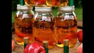 Apple Pie Moonshine by Tony Justice [upl. by Heddi]