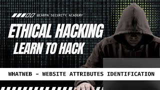 Whatweb  Website Attributes Identification [upl. by Antipas173]