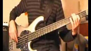 My lovely man  Red Hot Chili Peppers Bass Lesson [upl. by Lazos]