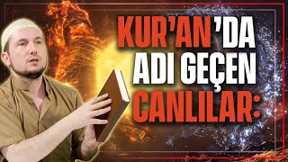 Kur’anda geçen canlılar Melek Cin Hayvan İnsan  Kerem Önder [upl. by Onitnerolf]