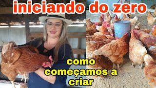 COMO COMECEI CRIAR GALINHAS  O QUE PRECISA PRA INICIAR DO ZERO CRIAR GALINHAS POEDEIRAS pathy [upl. by Eelsel]